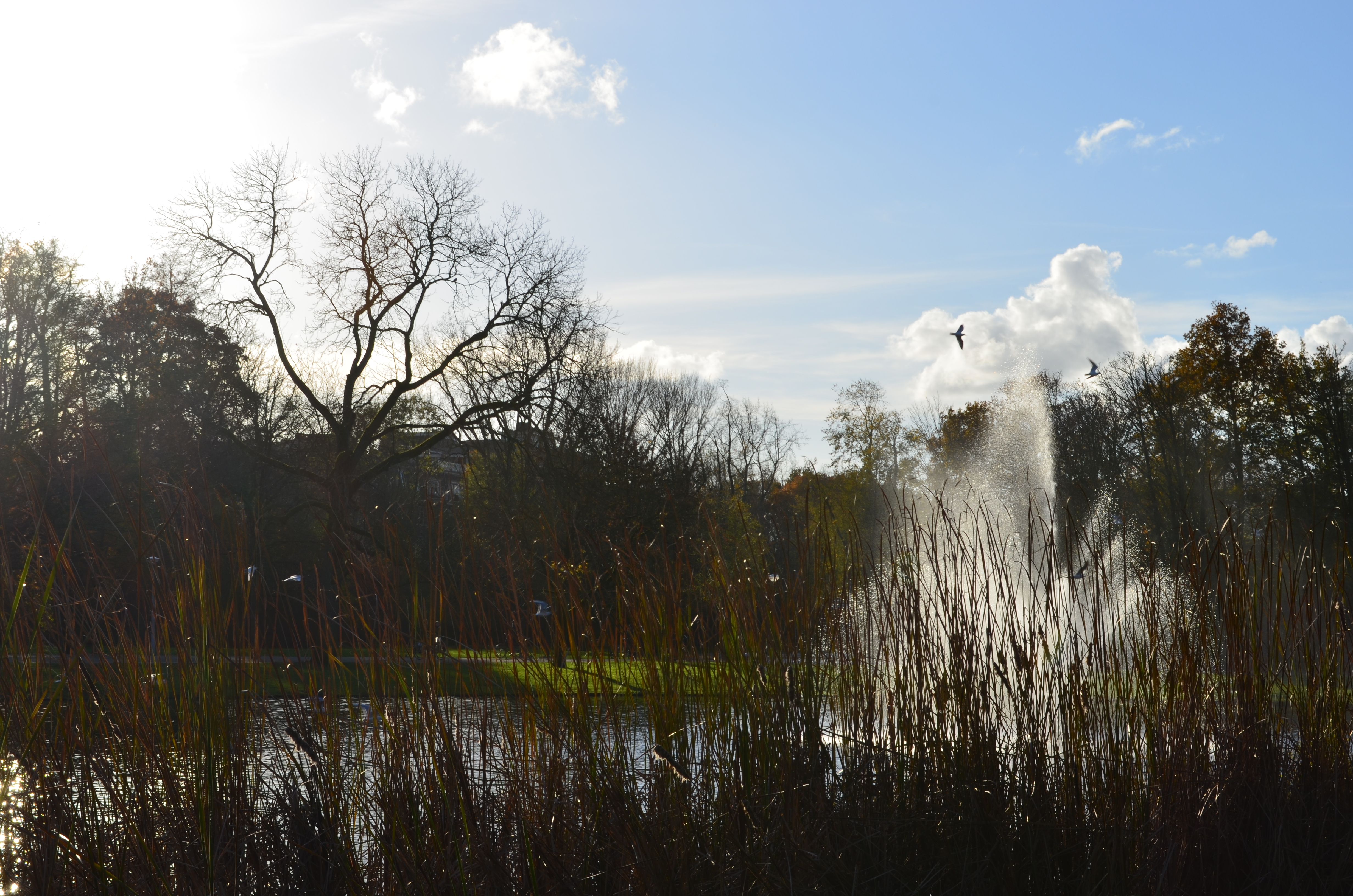 ./2017/19 - Viking Lif/13 - Amsterdam, The Netherlands/DSC_0578.JPG